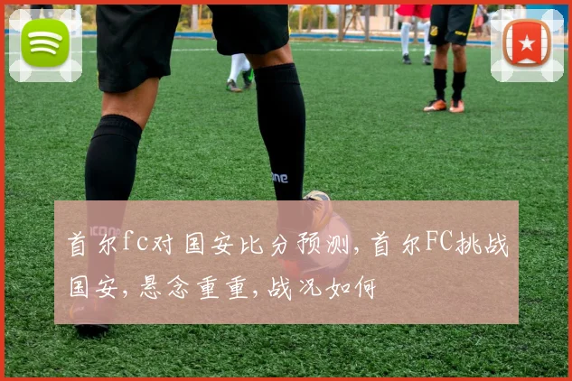 首尔fc对国安比分预测,首尔FC挑战国安,悬念重重,战况如何